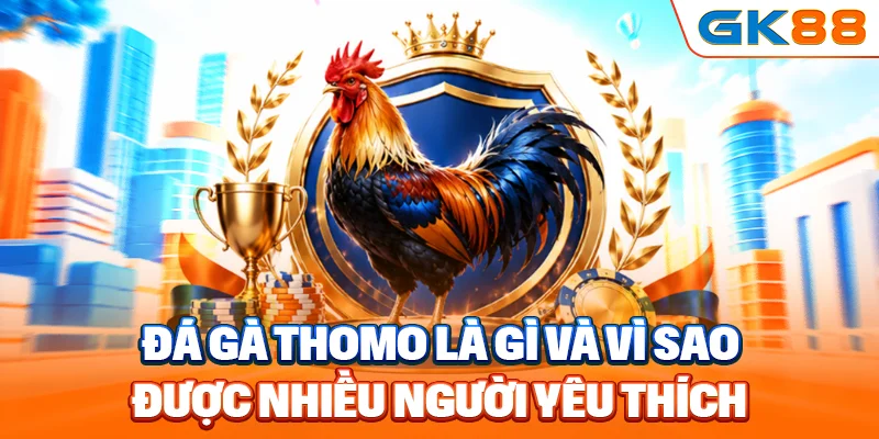 Đá gà Thomo là gì và vì sao được nhiều người yêu thích